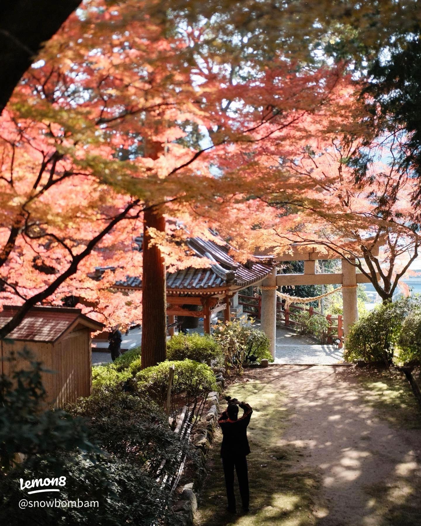 ⛩️ 대흥사 (다이코지) 이미지 6